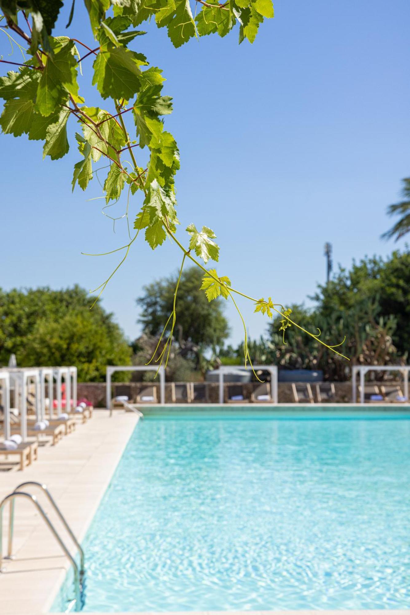 Masseria Malvindi 미사니아 외부 사진